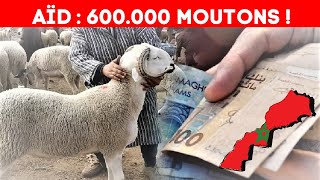 Aïd AlAdha 2024  Le Maroc Importe 600000 Moutons [upl. by Anyat]