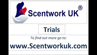 Scentwork UK L1 Trial [upl. by Evetta]