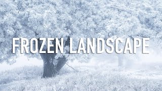 Landscape Photography in a Frozen Wilderness [upl. by Idarb87]