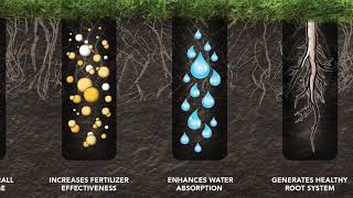 The Differences Between Aeration Tines [upl. by Grady206]