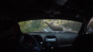 Video Rally Camera Car  CRASH DRAMMATICO CONTRO CAPRIOLO [upl. by Aratahc]