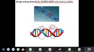 Medicinal 3 Antineoplastic agents Part 1 [upl. by Legyn811]