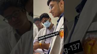 AIIMS Minivlog137  Class Presentation 😢mbbs mbbslife neet2024 neetmotivation aiimsdelhi fun [upl. by Anitserp]