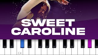 Neil Diamond  Sweet Caroline piano tutorial [upl. by Kentiga846]