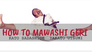 Mawashi geri training important point [upl. by Ladd]