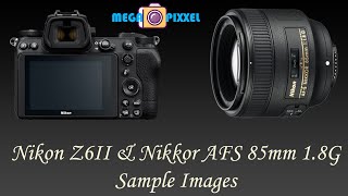 Nikon Z6II  Nikkor AFS 85mm f18G sample images  Using FTZI adapter  Wedding and street [upl. by Arek]