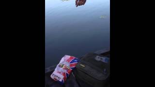 Feeder fishing  Brothers Lake Carrickmacross Ireland  september 2015 [upl. by Brynna]