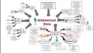 Abdominal Pain  OSCE [upl. by Fania]