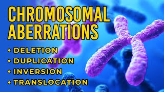 Chromosomal Aberrations  Deletion  Duplication  Inversion  Translocation [upl. by Lechner]