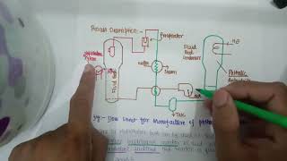 Lecture 29 Phthalic Anhydride [upl. by Iznil]