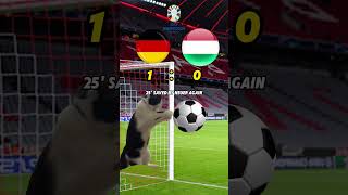 Germany vs Hungary EURO 2024 Cat Memes Football Highlights euro2024 germany scotland football [upl. by Hannis]