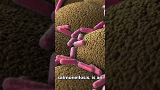 Salmonella Outbreak‼️ cdc salmonella viral fyp health [upl. by Eiblehs]