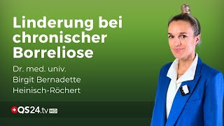 Die Inuspherese und Borreliose Neue Hoffnung für Patienten mit chronischer Infektion  QS24 [upl. by Arual]