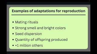 Categorizing Adaptations Slideshow 7th grade [upl. by Bergeron]