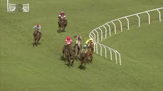 Cheltenham Festival 2019 Day 1  All Finishes [upl. by Dorcia]