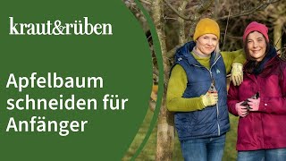 Apfelbaum schneiden 🍎  Apfelbaumschnitt für Anfänger [upl. by Baram]