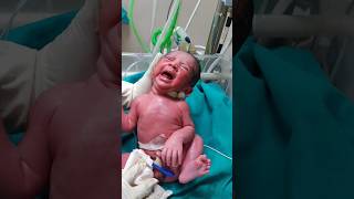 First cry baby at birthmaa shortvideo baby cutebaby status babyvideos cute nurse touching [upl. by Hsur128]