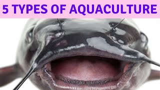 5 Types of Aquaculture What is Aquaculture What Aquaculture Means What Aquaculture Is [upl. by Ahseym]