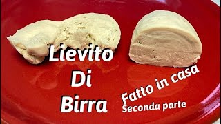 Lievito di Birra Fatto in Casa DAVVERO seconda parte [upl. by Alehcim]