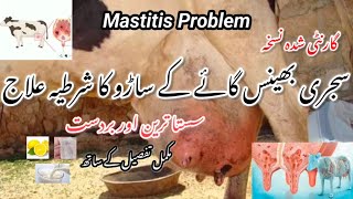 Saro Ka Desi Ilaj  Mastitis Saru Angari Hawana Ka Desi Ilaj Animals Problem Solution💯 [upl. by Assyral528]