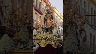 Virgen de los Desamparados Calle Santa Clara  Marchena 2024 [upl. by Newg]