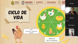 Elaboración de alimento para gallinas de traspatio [upl. by Ajim]