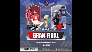 GRAN FINAL EN VIVO CATEGORÍA JUVENIL [upl. by Tiffie]