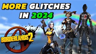 MORE Glitches In Borderlands 2 That Still Work In 2024 [upl. by Animsaj]