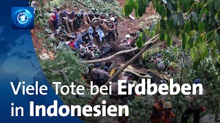 Mehr als 50 Todesopfer bei Erdbeben in Indonesien [upl. by Ellerad317]