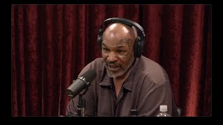 Joe Rogan Experience 2226  Mike Tyson [upl. by Allveta30]