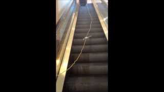 Escalator Cleaning Machine  APOLLO Z700 [upl. by Randal]