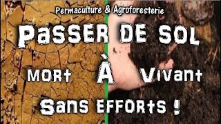 PERMACULTURE  FABRIQUER RAPIDEMENT UN SOL VIVANT ET RICHE RESTAURER LA VIE AU JARDIN POTAGER [upl. by Nohtanhoj930]