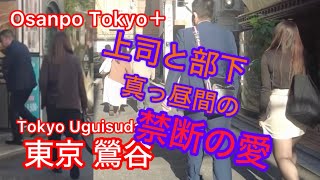 【4k】Osanpo Tokyo Uguisudani お散歩鶯谷 20241119 [upl. by Hamon]