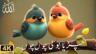 Chirya Boli Choo Choo  ALLAH HO ALLAH HO  Urdu Poems for Kids  Urdu Rhymes for Kids [upl. by Hinkle813]