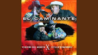 El Caminante feat Tetillo Hernandez En vivo [upl. by Maddox]