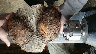 Woodturning IronWood Burl [upl. by Nitsyrk]