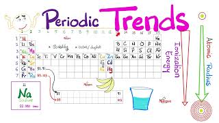 Periodic Trends  Atomic Radius Electronegativity Ionization Energy  Chemistry Series [upl. by Eiuqnom340]