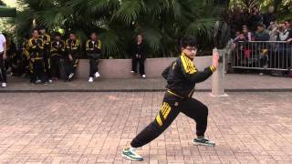 Choy Gar Kung Fu i Hong Kong [upl. by Arrotal]