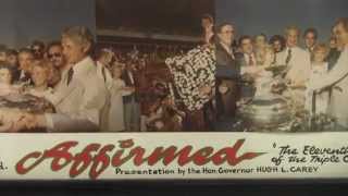 Instant Classic 1978 Belmont Stakes [upl. by Stokes640]