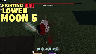 Fighting RUI Lower Moon 5 In this Demon Slayer Game DEMONFALL [upl. by Assina]