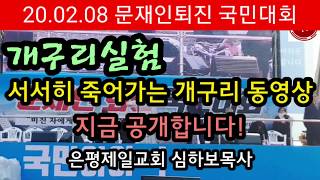 주사파 전략 문재인의 전략  개구리 실험 서서히 죽어가는 개구리 모습이 지금 공개됩니다 [upl. by Alli722]