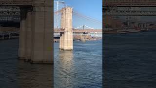 brooklynbridge view from pier 17summer enjoy travel love astrology music newyork [upl. by Wallie609]