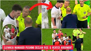 Declan Rice was pushed by Slovakias manager Declan Rice vs Calzona fight England vs Slovakia EURO [upl. by Thatcher126]