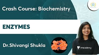 Enzymes Part2  Crash Course Biochemistry  Unacademy Future Doctors  Dr Shivangi [upl. by Emya]