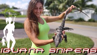 Iguana Solutions wipes out pesky invasive iguanas in South Florida [upl. by Lyns298]