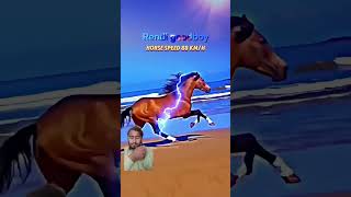 The Fastest Animal On Land fastestanimal horse animals respectliongazellereaction viralvideo [upl. by Dao]