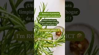 Confieso ¡soy adicta al romero 🌿 el protector energético por excelencia [upl. by Ganiats970]