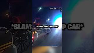 Pelican in action🤯😂 shorts funny police [upl. by Saunder100]