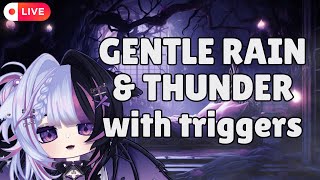 LIVE ASMR Gentle Rain  Thunder with Soft ASMR Triggers 💤 🌙 Multistream Sleep Aid [upl. by Ataynek483]