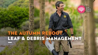 Autumn Reboot Leaf and Debris Management with Royal Botanic Gardens Cranbourne [upl. by Viradis]